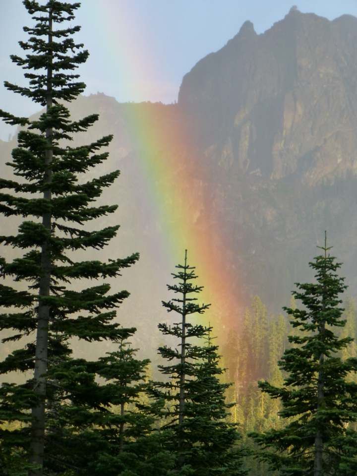 Rainbow with trees and a mountain, at the Sierra Nevada Field Campus